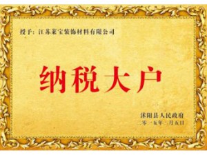 纳税大户