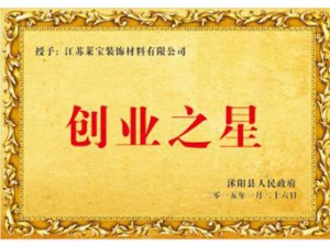创业之星